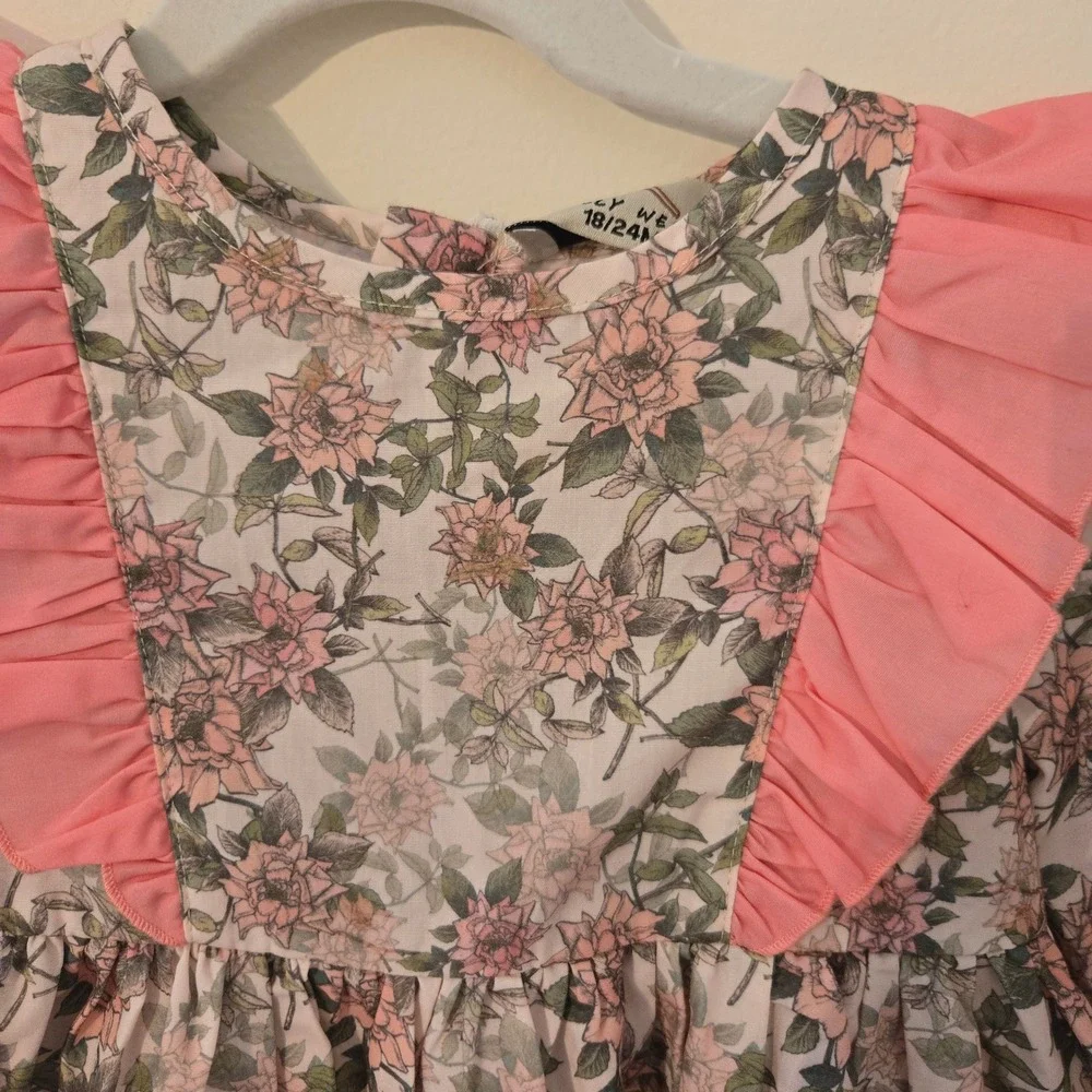 Dolly Wears Toddler Girls Floral Ruffle Dress Pink Rose Long Sleeve 18-24 Months